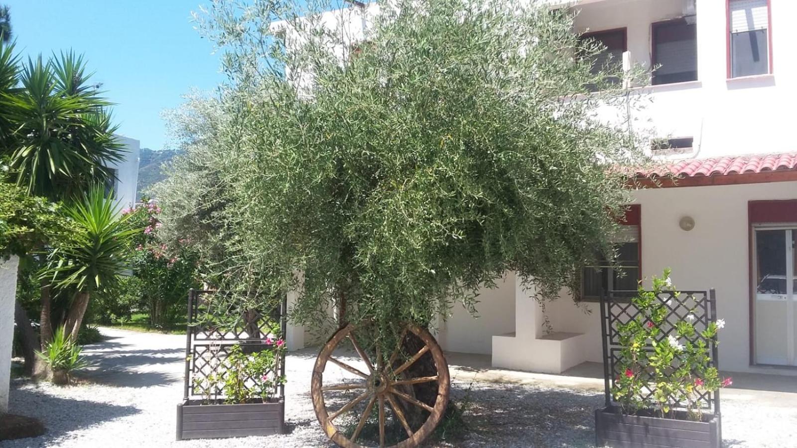 Appartamenti La Baia Del Rais Falcone Habitación foto
